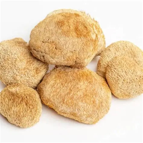 Instant Coffee with Mushroom